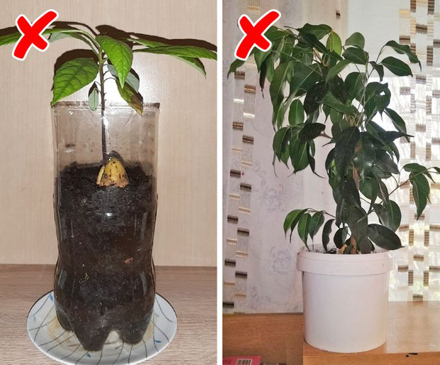 13 lỗi bài trí từ thời ông bà làm không gian hiện đại của bạn trở nên kém sang-9