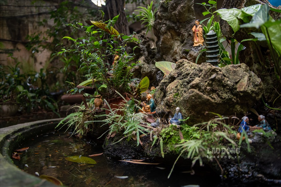 Nhà vườn 300m2 tại phố cổ Hà Nội: Đại gia trả giá 180 tỉ cũng không bán-4