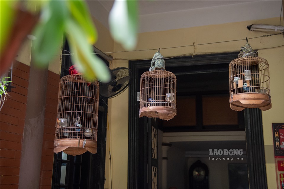 Nhà vườn 300m2 tại phố cổ Hà Nội: Đại gia trả giá 180 tỉ cũng không bán-5