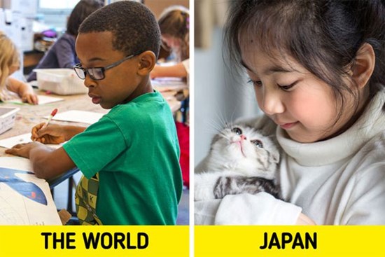 Bí mật từ hệ thống giáo dục Nhật Bản giúp trẻ thành công trong cuộc sống, cha mẹ nên học hỏi