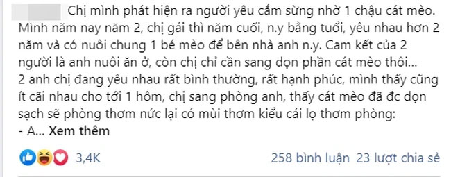 Vì một chậu cát mèo, cô gái thông minh bóc mẽ được sự thật bạn trai che giấu, cách cô hạ màn giải quyết vấn đề khiến ai nấy hả hê!-1