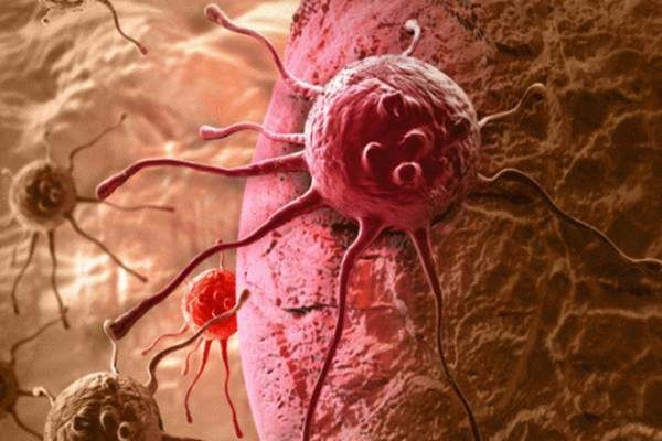 Hình ảnh vi khuẩn trên khẩu trang sau 12 giờ sử dụng-3