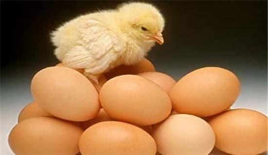 Miệng chai nước lọc nhỏ vậy, tại sao cho trứng vào được để tránh va đập khi di chuyển? Câu trả lời thật đáng kinh ngạc-1