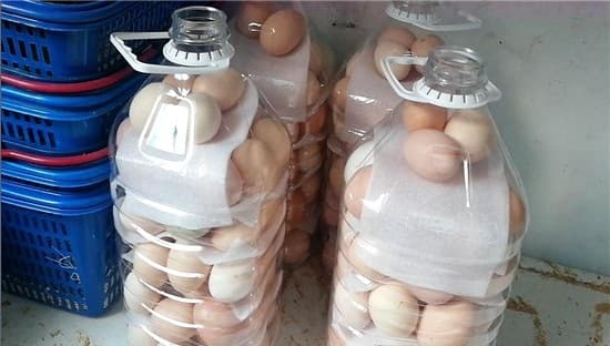 Miệng chai nước lọc nhỏ vậy, tại sao cho trứng vào được để tránh va đập khi di chuyển? Câu trả lời thật đáng kinh ngạc-3