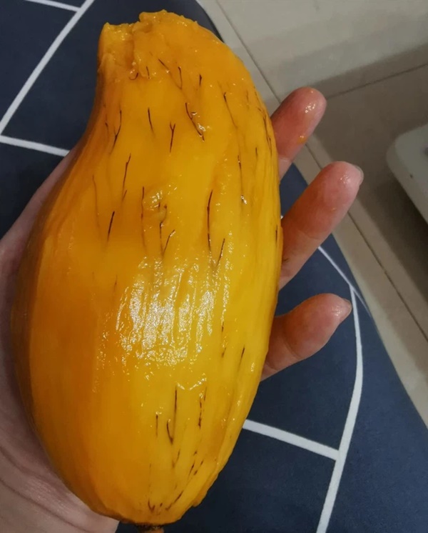 Xoài nổi chỉ đen như lông chân, ăn vẫn thấy ngon nhưng có hại sức khỏe không? Đây là câu trả lời của chuyên gia-1