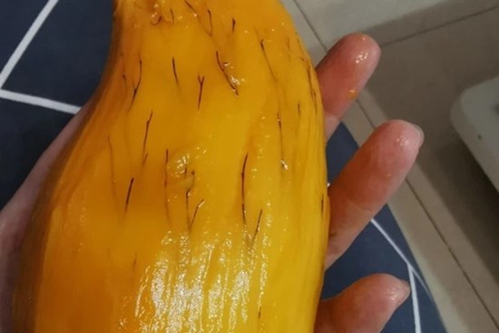 Xoài nổi chỉ đen 