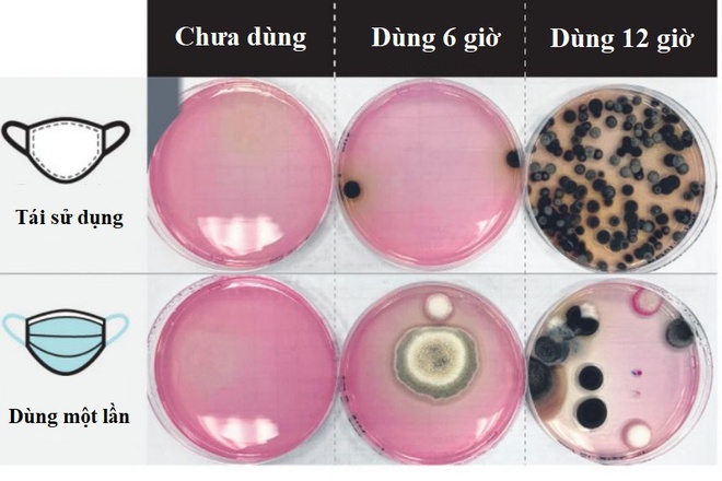 Hình ảnh vi khuẩn trên khẩu trang sau 12 giờ sử dụng-1