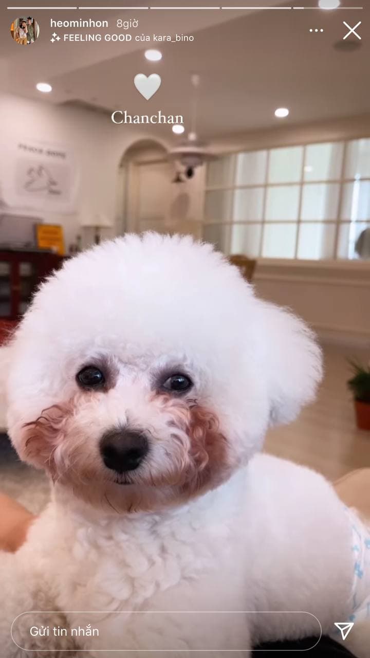 Hot dad Kiên Hoàng tiếp tục bị dân mạng bóc phốt, tố nhân cách giả tạo?-10