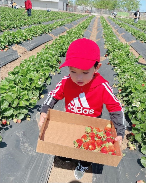 Quý tử nhà Phạm Hương hơn 2 tuổi đã dạn dĩ, độc lập, cách Hoa hậu&nbsp;rèn luyện, dạy dỗ con thật đáng học hỏi-6