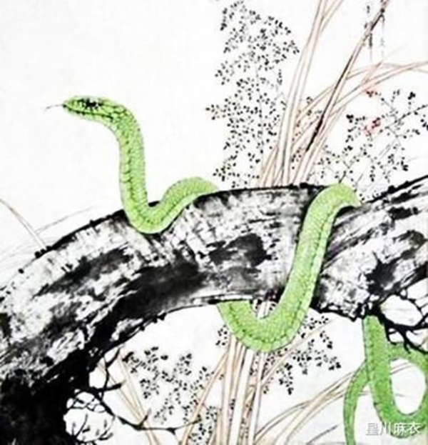 Từ giờ đến tháng 5, 3 con giáp thời tới cản không nổi, vận trình tài lộc rực rỡ, đừng để tuột mất cơ hội-2