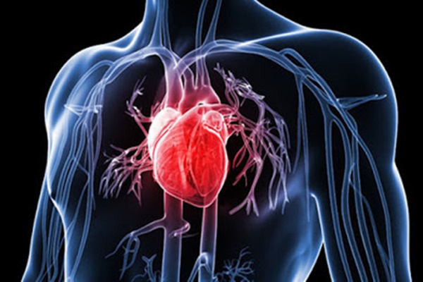 4 thực phẩm tăng nguy cơ đau tim: Tránh càng nhiều càng tốt-6