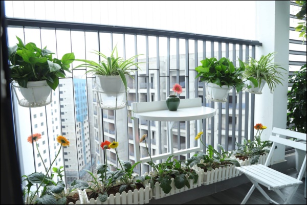 Từ căn hộ thô 83m2, cặp đôi Hà Nội dồn hết tình yêu, tâm huyết thiết kế không gian sống đúng sở thích đẹp lung linh-16