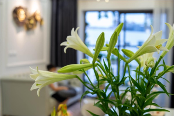 Từ căn hộ thô 83m2, cặp đôi Hà Nội dồn hết tình yêu, tâm huyết thiết kế không gian sống đúng sở thích đẹp lung linh-7