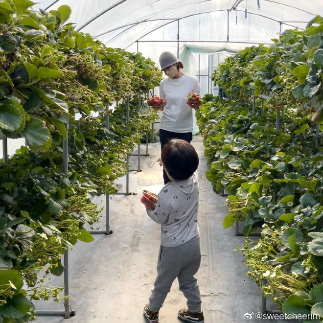 Nữ thần Chae Rim ở tuổi 42: Bỏ chồng về Hàn, một mình nuôi con, giã từ showbiz để kinh doanh-17