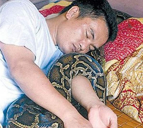 Người đàn ông cứu sống con trăn nhỏ bị thương rồi giữ làm vật nuôi, 5 năm sau nhờ con vật mà gia đình 3 người thoát nạn-1