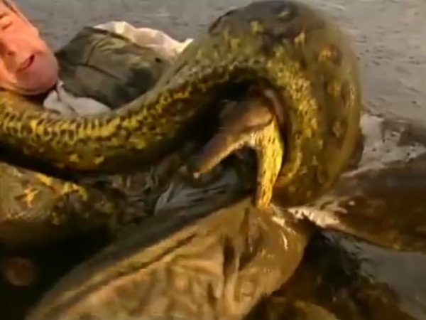 Người đàn ông cứu sống con trăn nhỏ bị thương rồi giữ làm vật nuôi, 5 năm sau nhờ con vật mà gia đình 3 người thoát nạn-3