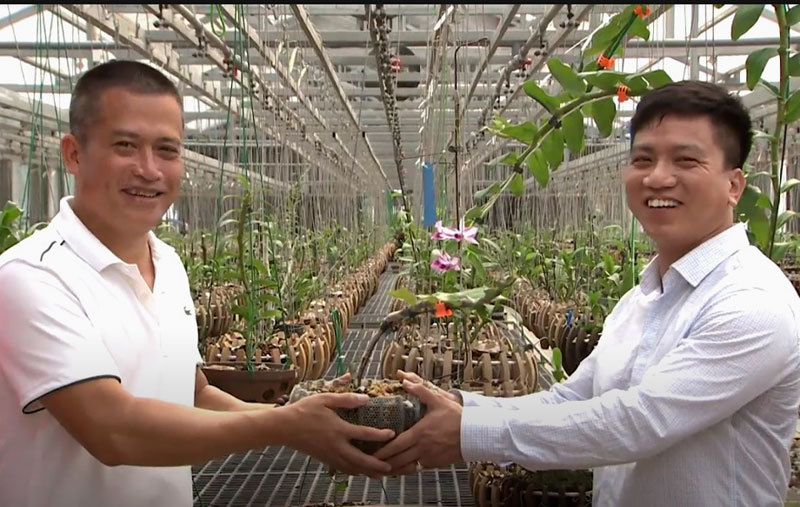 Đem mộc hương ‘huynh đệ’ tiền tỷ đổi lấy 1 kie lan đột biến-2