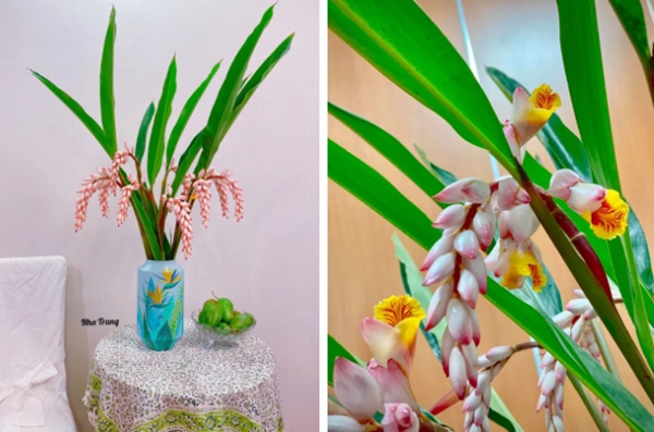 Hoa rừng đẹp như bông lúa mẩy hạt gây sốt”, bán chơi mà được cả nghìn cành-4