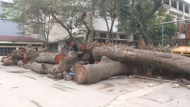 BV Bạch Mai xóa sổ nhà tang lễ, khu phòng lạnh: Có bệnh nhân đang điều trị phải nằm cạnh người chết hàng tiếng đồng hồ-2