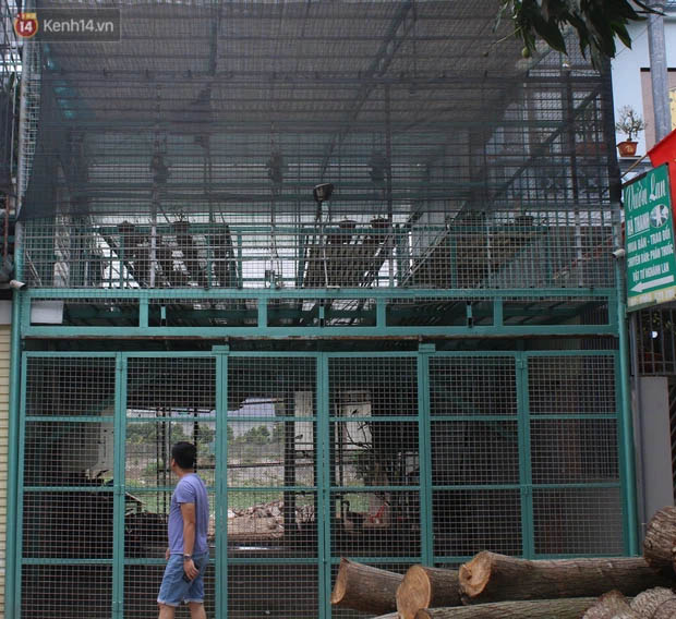 Thông tin bất ngờ vụ chủ vườn hoa lan đột biến ở Hà Nội bị tố ôm hàng trăm tỷ bỏ trốn-1