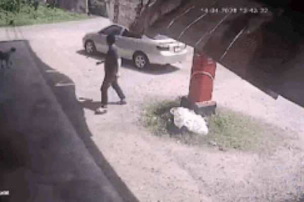 Phản xạ tuyệt vời cứu người đàn ông thoát chết