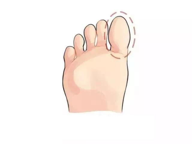Nhìn tướng bàn chân biết ngay hậu vận sang hay hèn: tướng chân thứ 2 công danh hiển hách hồng phúc tề thiên-3