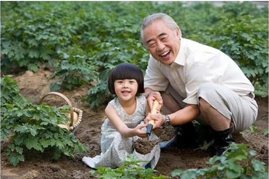 Ông nội cố tình trêu chọc cháu trai: Hôm nay lại đến nhà ông à, không có cơm ngon đâu, câu trả lời của đứa trẻ khiến huyết áp ông tăng vùn vụt-1