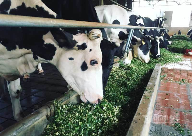 Liều vay 300 triệu làm ăn, 9 năm sau anh nông dân đếm tiền tỷ-1