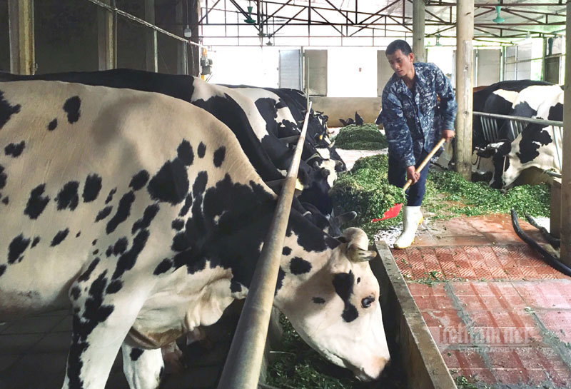 Liều vay 300 triệu làm ăn, 9 năm sau anh nông dân đếm tiền tỷ-3