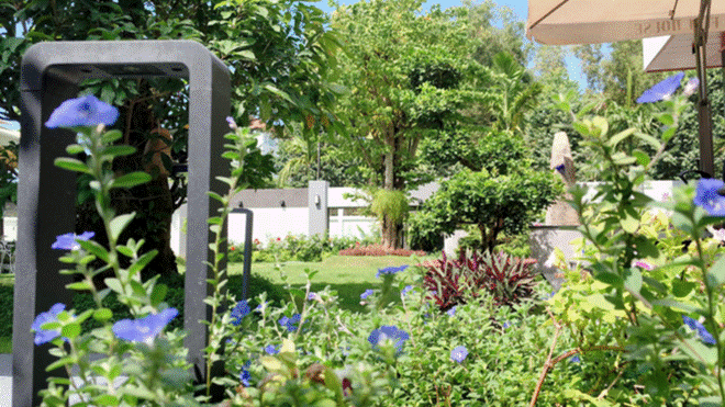 Quốc Trường giàu có thế nào: Cơ ngơi 25 tỷ rộng 200m2 ở Cần Thơ, tiền nội thất đắt khủng khiếp-10