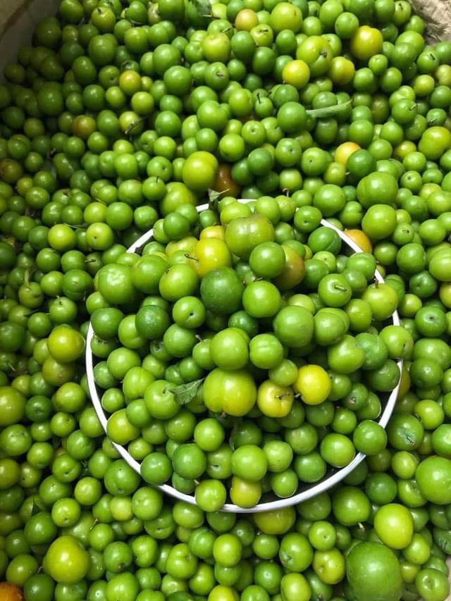 Mận cơm trượt giá còn 5.000 đồng/kg, dân mạng lại hô giải cứu-2