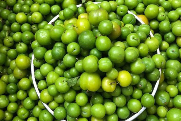 Mận cơm rẻ như cho vẫn ế, mận nguyên cành đắt giá cháy hàng-4