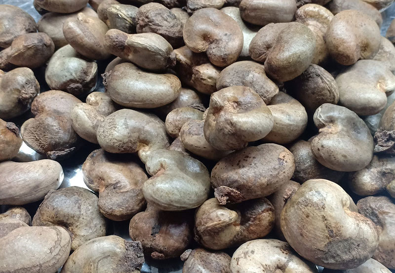 Hàng ngoại đổ về, đặc sản Việt giảm giá kỷ lục, dân kêu lỗ nặng-1