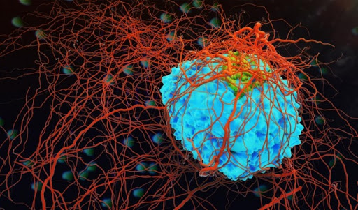 Ung thư sẽ không dám xuất hiện nếu bạn uống 4 loại nước rau củ quả này mỗi ngày: Tất cả đều ngon và bán rất rẻ ở Việt Nam-1