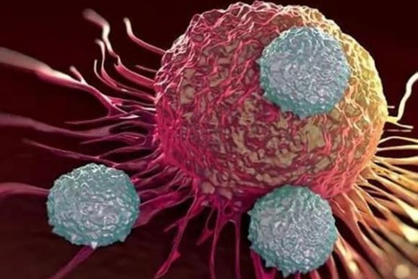 Không ngờ 5 thói quen nấu ăn này lại rước ung thư vào người-6