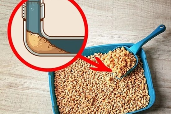 6 thứ tuyệt đối không được cho vào bồn rửa kẻo tắc nghẽn nghiêm trọng