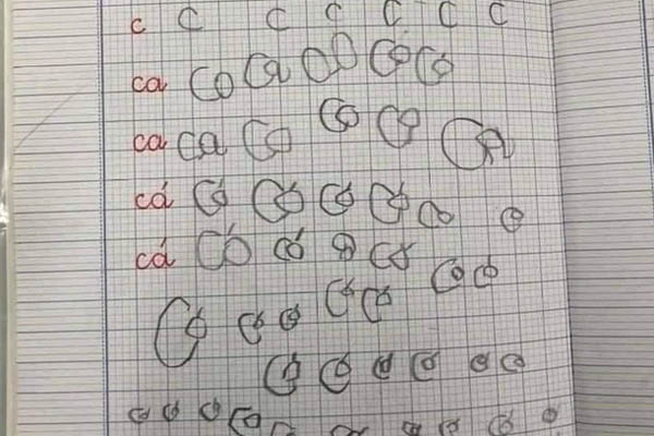 Không bổ nhiệm lại hiệu trưởng từng kiện giám đốc Sở GD&ĐT Cần Thơ-4