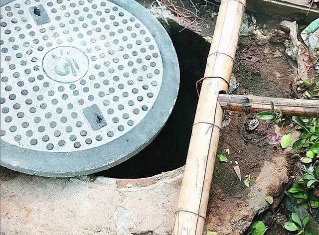 Nhờ chồng cứu chó cưng bị rơi xuống cống, vợ đấm ngực khóc tức tưởi khi tự tay đẩy người thân vào cái bẫy chết người-1