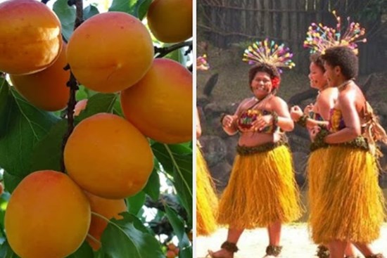 Fiji là quốc gia duy nhất không có bệnh nhân mắc ung thư: 3 lý do khiến người dân không mắc ung thư rất đáng học hỏi