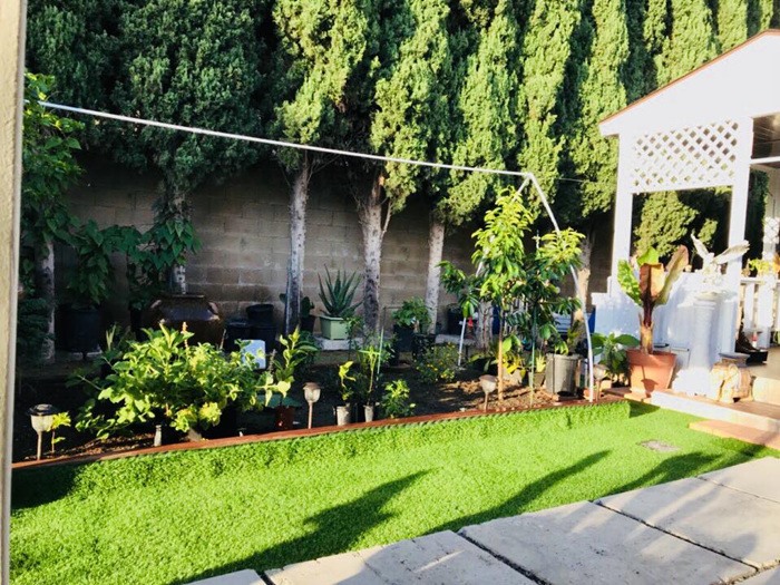 Cách bài trí sân vườn tươi mát và nhiều hoa của danh ca Hương Lan-10
