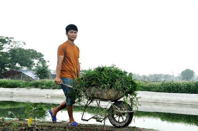 8X bỏ nghề điều dưỡng về quê làm bạn với ốc, cá, kiếm nửa tỷ đồng mỗi năm-1