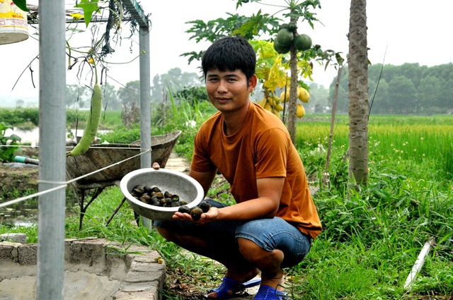 8X bỏ nghề điều dưỡng về quê làm bạn với ốc, cá, kiếm nửa tỷ đồng mỗi năm-2