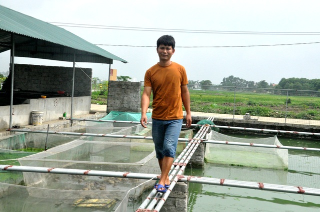 8X bỏ nghề điều dưỡng về quê làm bạn với ốc, cá, kiếm nửa tỷ đồng mỗi năm-7