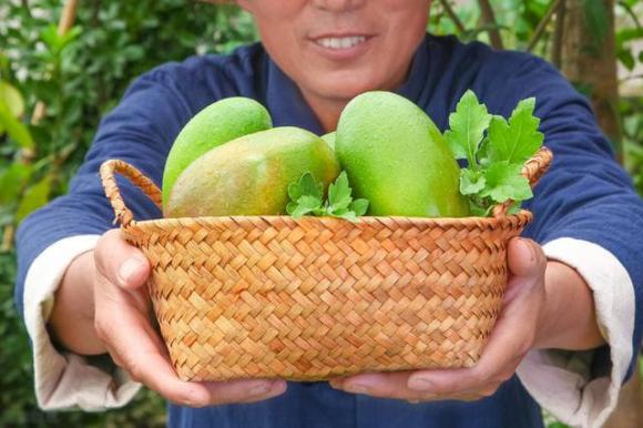 Xoài cũng được chia thành đực và cái? Học 4 bí quyết này sẽ chọn được quả nhiều thịt, ăn có vị ngọt thanh, không bị lừa khi mua-5