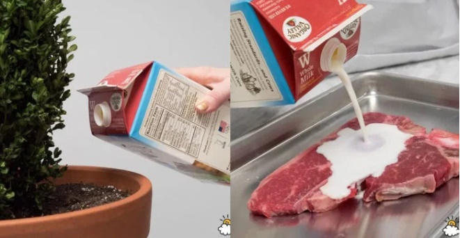 Sữa hết hạn vẫn tận dụng tốt nếu bạn dùng vào những việc này-1