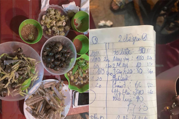 Tranh cãi việc nhà Quỳnh Trần JP ra biển câu cá mập con để ăn, cảnh máu me cũng được đưa ngay lên video-13