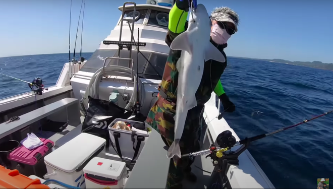 Tranh cãi việc nhà Quỳnh Trần JP ra biển câu cá mập con để ăn, cảnh máu me cũng được đưa ngay lên video-5