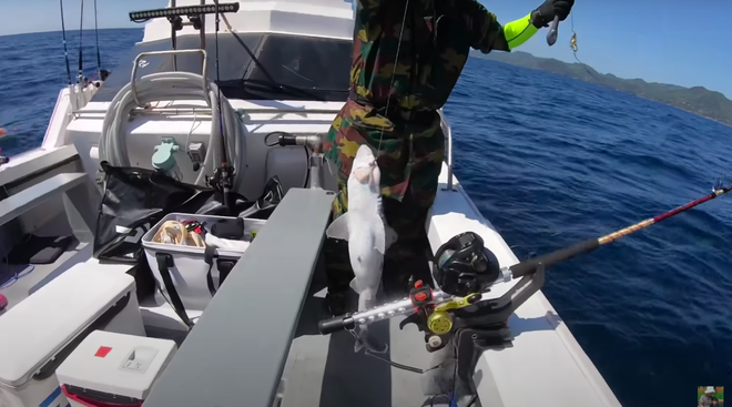 Tranh cãi việc nhà Quỳnh Trần JP ra biển câu cá mập con để ăn, cảnh máu me cũng được đưa ngay lên video-8