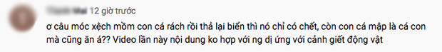 Tranh cãi việc nhà Quỳnh Trần JP ra biển câu cá mập con để ăn, cảnh máu me cũng được đưa ngay lên video-12