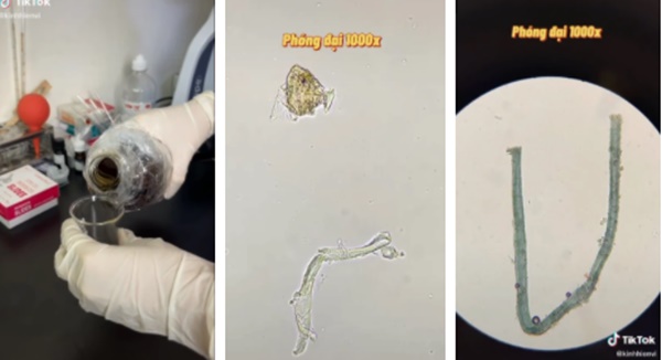 Chuyên gia nói gì về clip sự thật khi soi nước mắm dưới kính hiển vi và 4 lưu ý khi người Việt dùng nước mắm để không ảnh hưởng sức khỏe-2